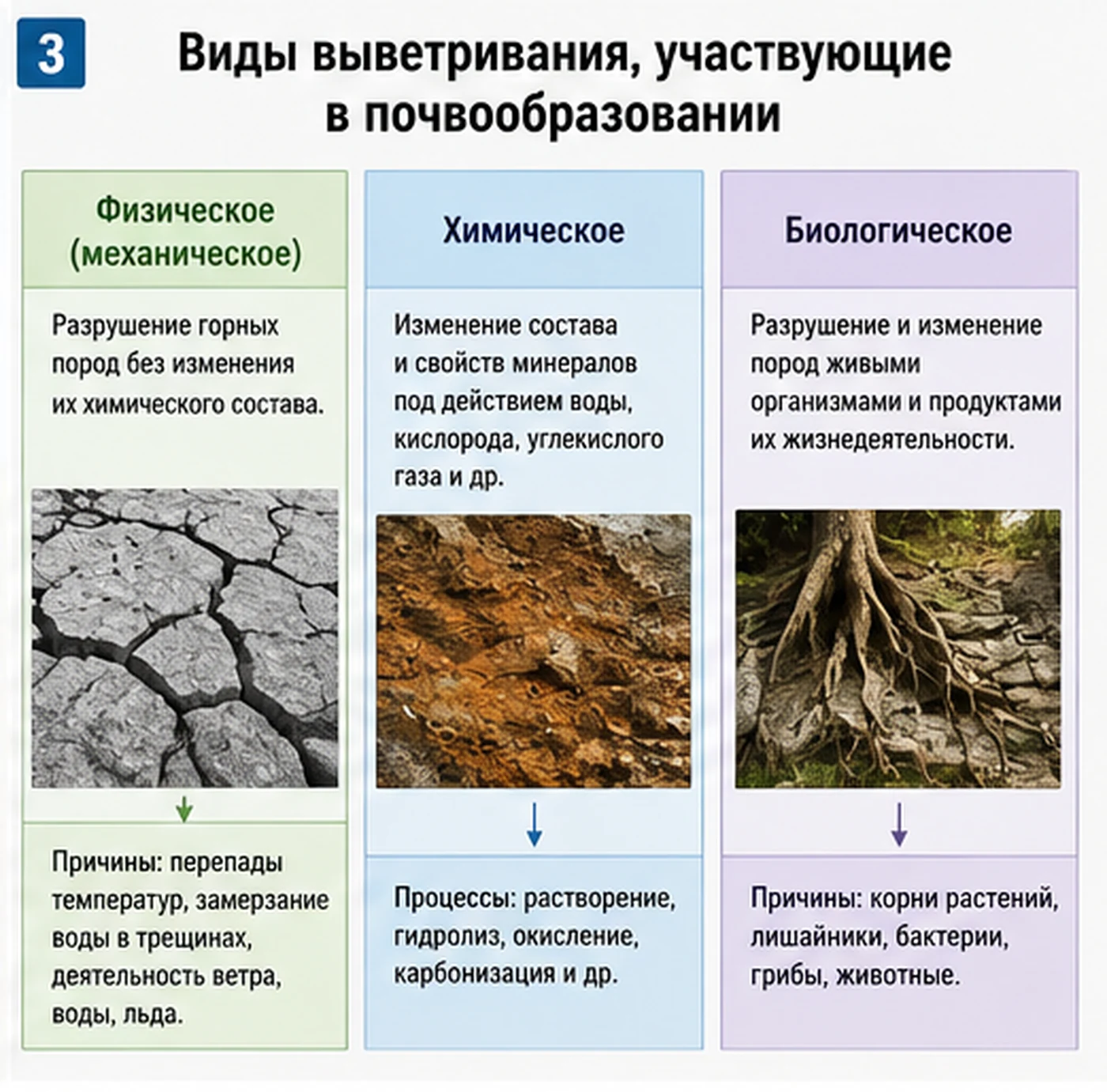 Учебный плакат о физическом, химическом и биологическом выветривании