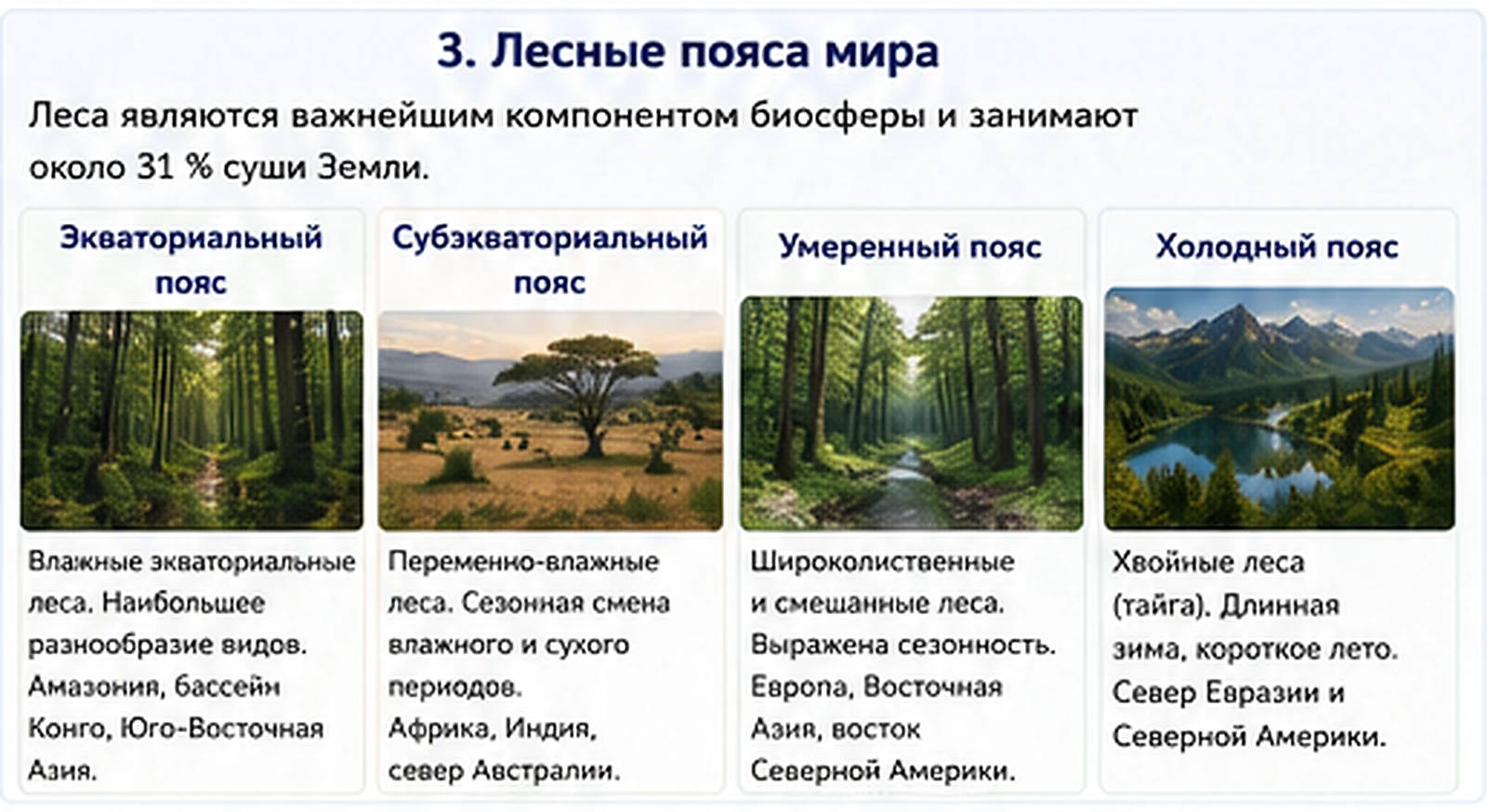 Учебная схема основных лесных поясов мира