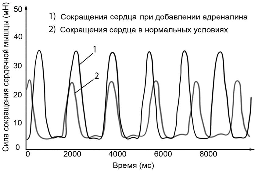 Иллюстрация к заданию, рис.1