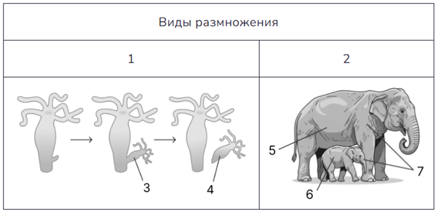 Иллюстрация к заданию, рис.1