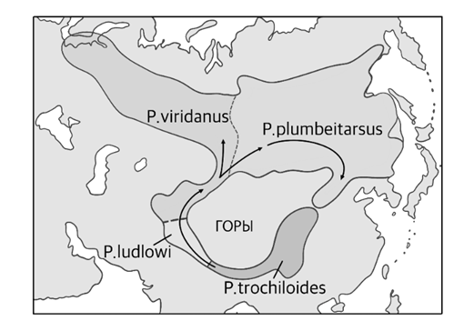 Иллюстрация к заданию, рис.1