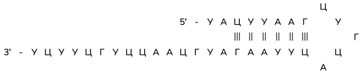 Биология, задание 27, рис.1