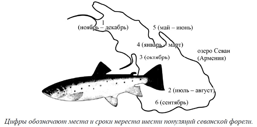 Иллюстрация к заданию, рис.1