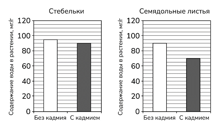 Иллюстрация к заданию, рис.1