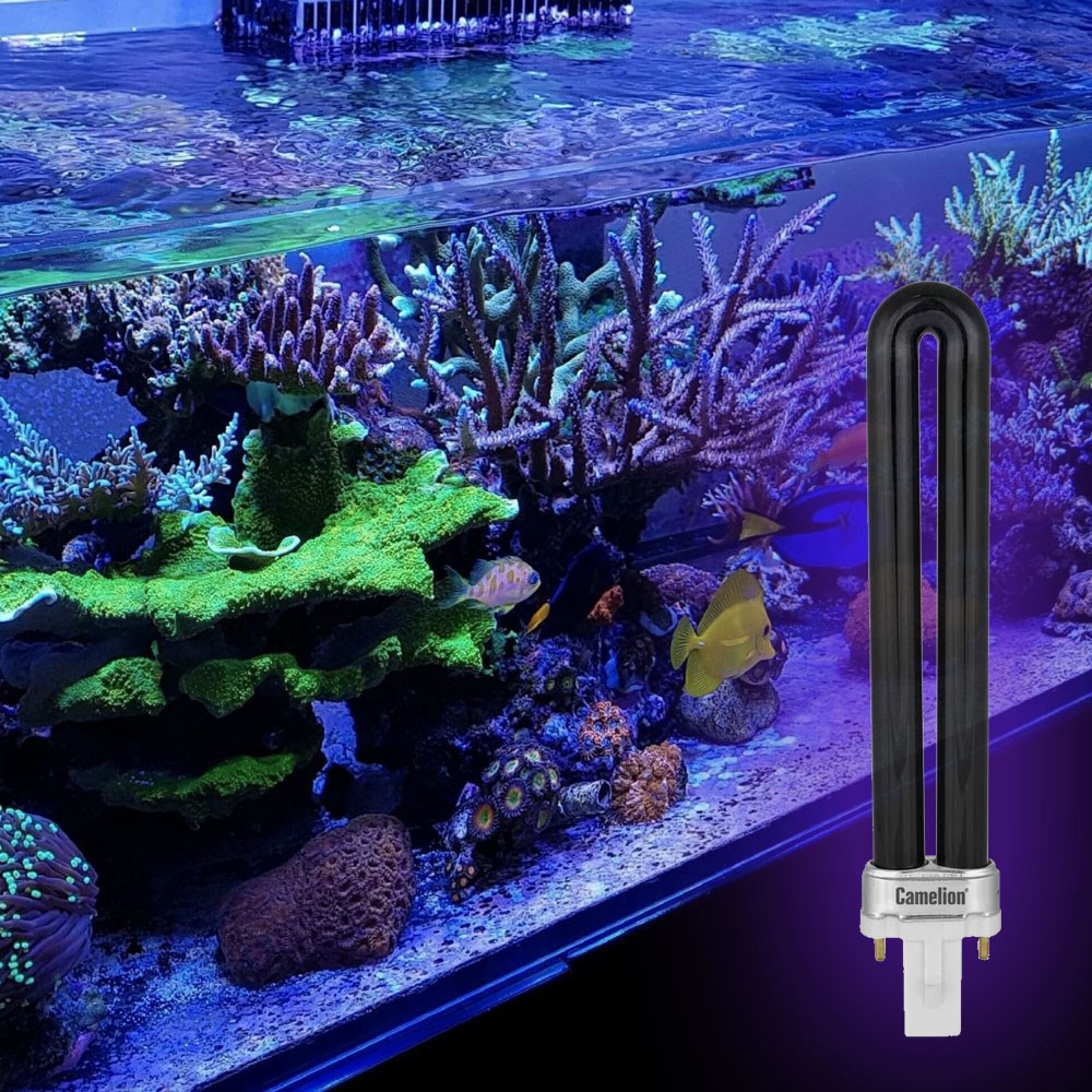 Готовый набор "Вуда  365" люминесцентный диагностический излучения 365 нм