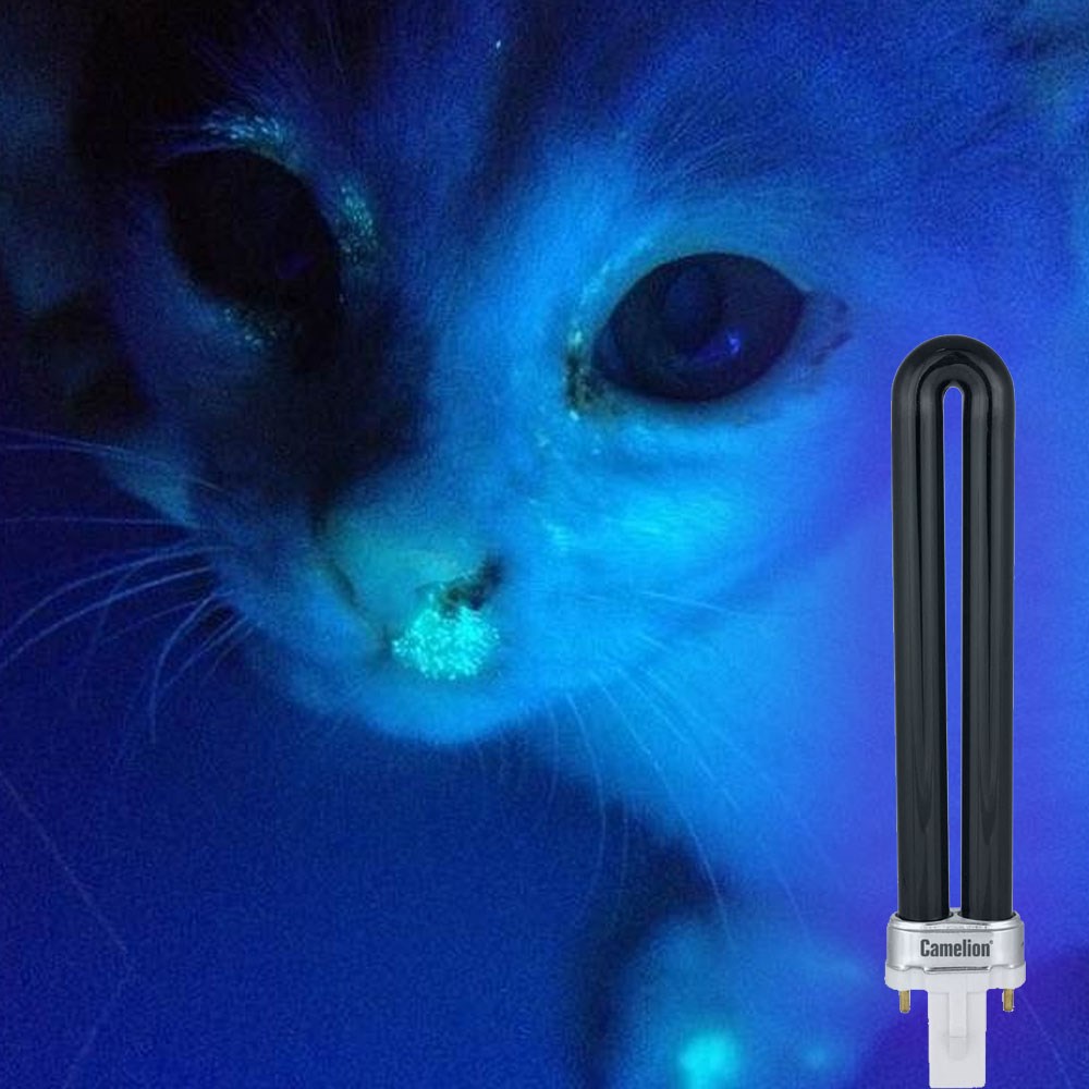 Готовый набор "Вуда  365" люминесцентный диагностический излучения 365 нм