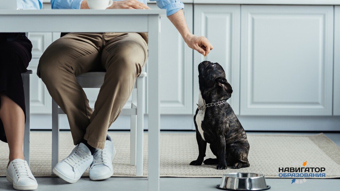 Зоопсихолог 