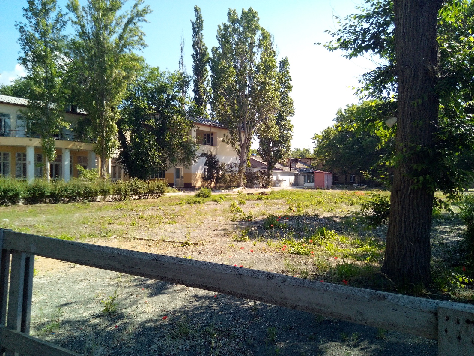 Дельфинарий