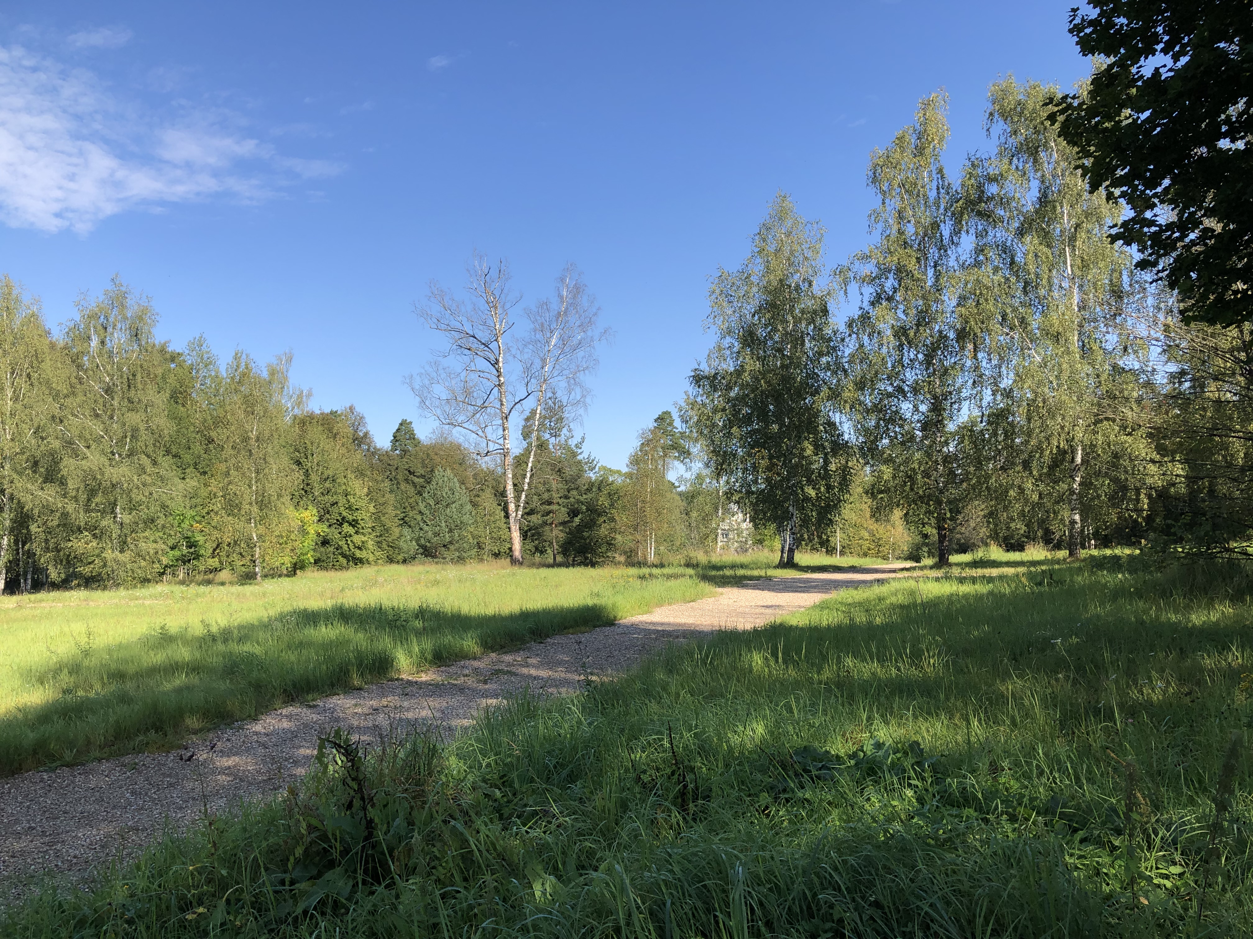 Гефсиманский сад