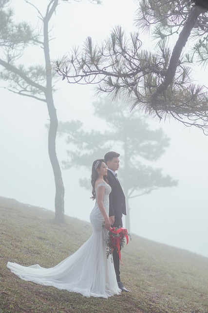couple, wedding, fog, forest, bride, nature, groom, romantic, newly married, wedding day, husband, wife, man, woman, love, park, happy, relationship, outdoors, portrait