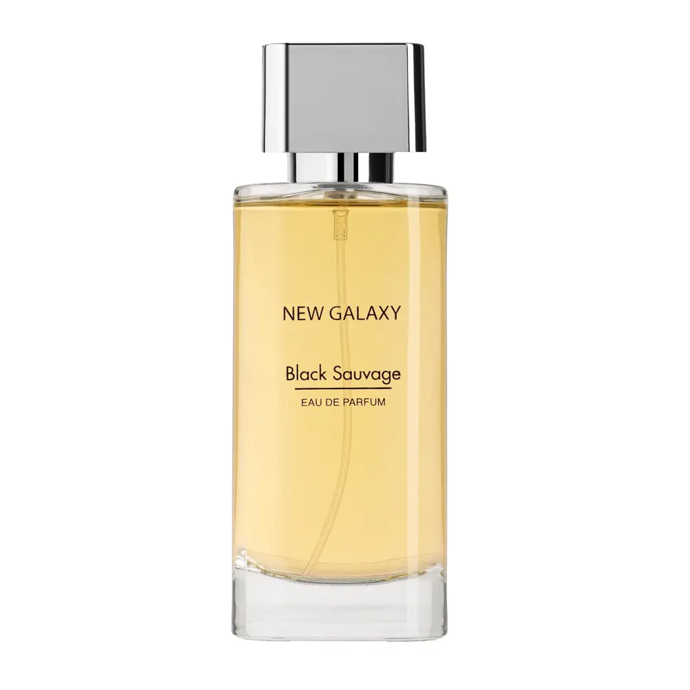 NEW GALAXY Парфюмерная вода мужская Black Sauvage, 100 мл - #2