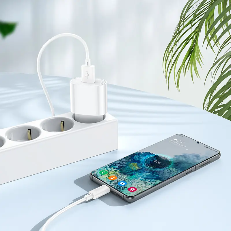 Сетевое зарядное устройство hoco. модель C109A, USB-A QC 20W, цвет: белый - #8