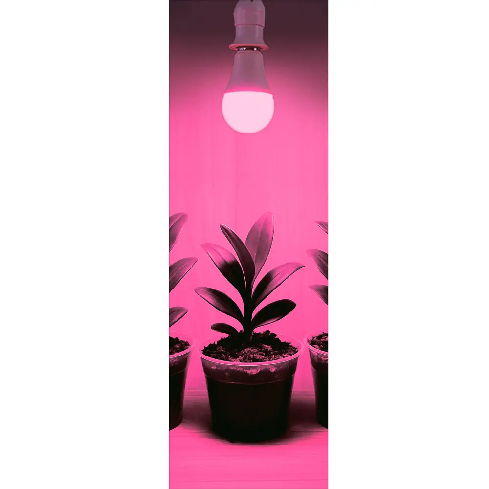 Лампочка для растений тм INBLOOM, 6х12см, 10LED, фиолетовый, Е27, 9Вт, ПК - #5