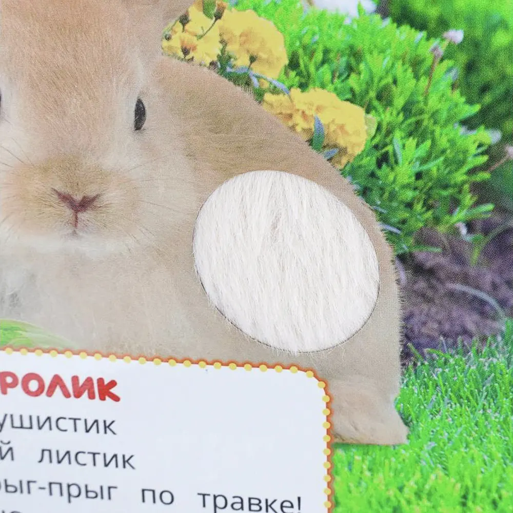 Книга картонная с тактильными элементами, 12х12 см, 6 стр. - #20