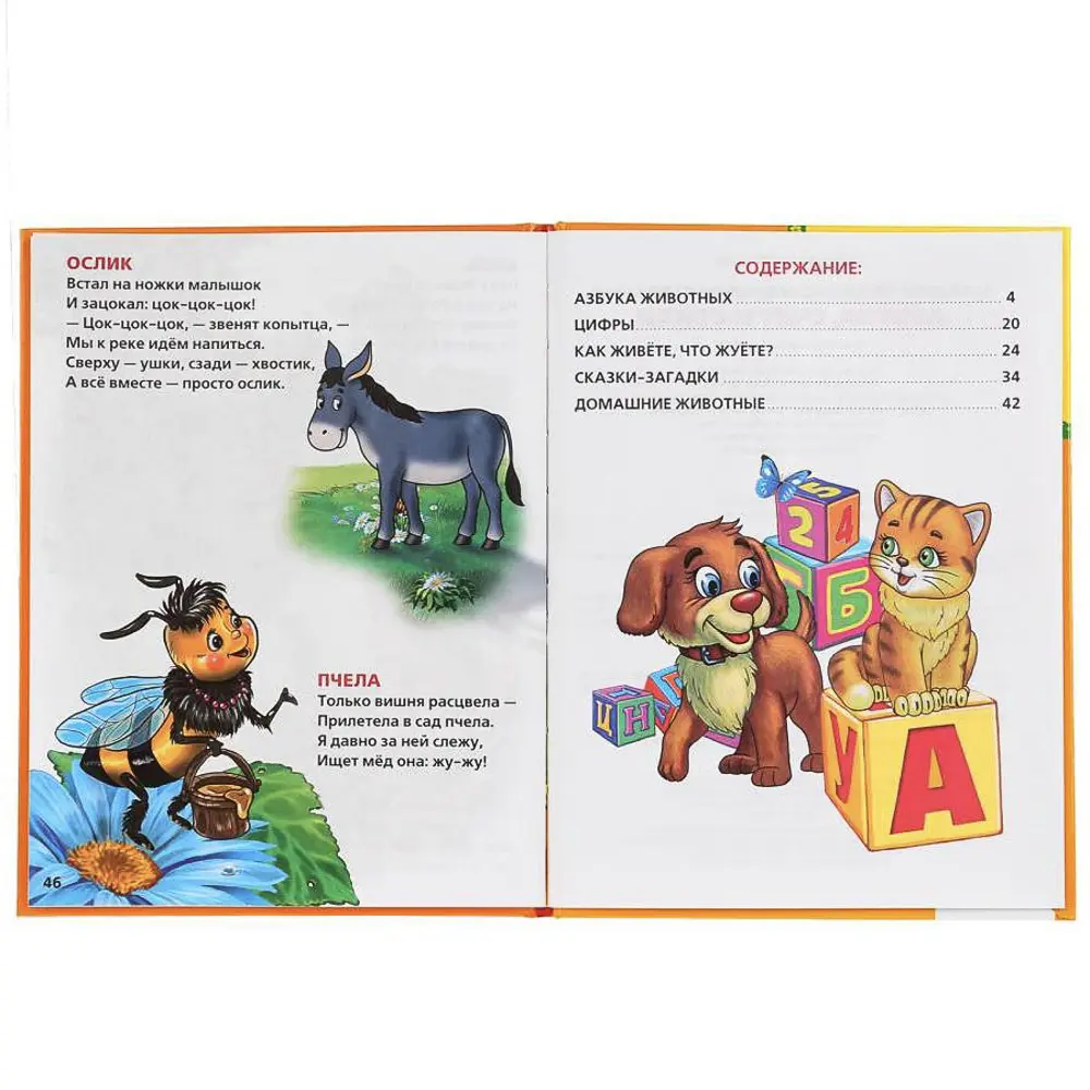 Книга "Азбука/Букварь", 16,5х21,5 см, 48 стр., в ассортименте - #3