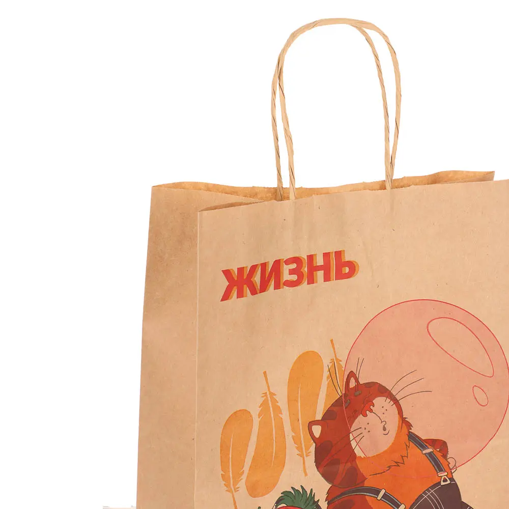 Пакет подарочный с кручеными ручками L 24х14х30см, "Попугай Кеша. На чиле", в ассортименте - #3