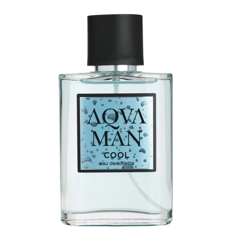 Туалетная вода мужская тм BELLERIVE AQVAMAN Cool, 100 мл - #2