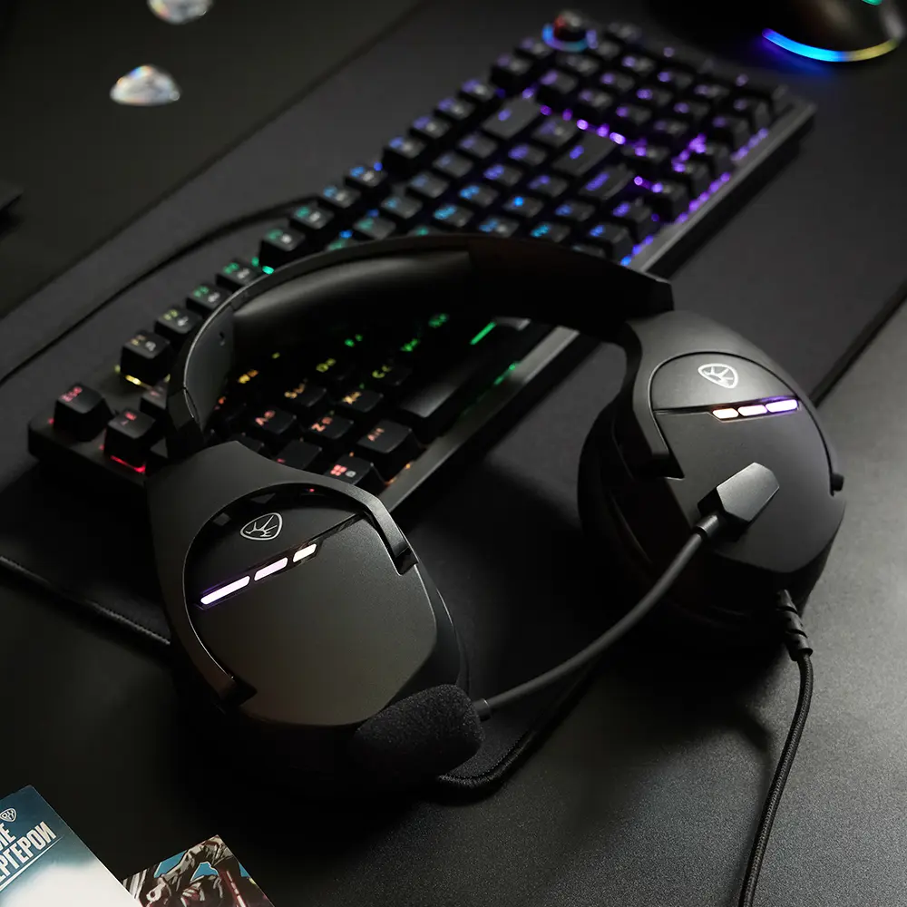 Наушники проводные с микрофоном игровые BY Dzingasa USB 3,2 м, VS7.1, настраиваемая RGB подсветка - #10