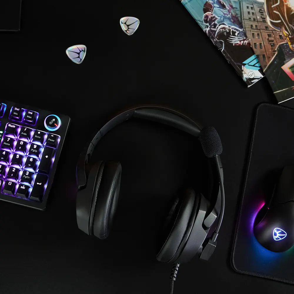 Наушники проводные с микрофоном игровые BY Dzingasa USB 3,2 м, VS7.1, настраиваемая RGB подсветка - #13