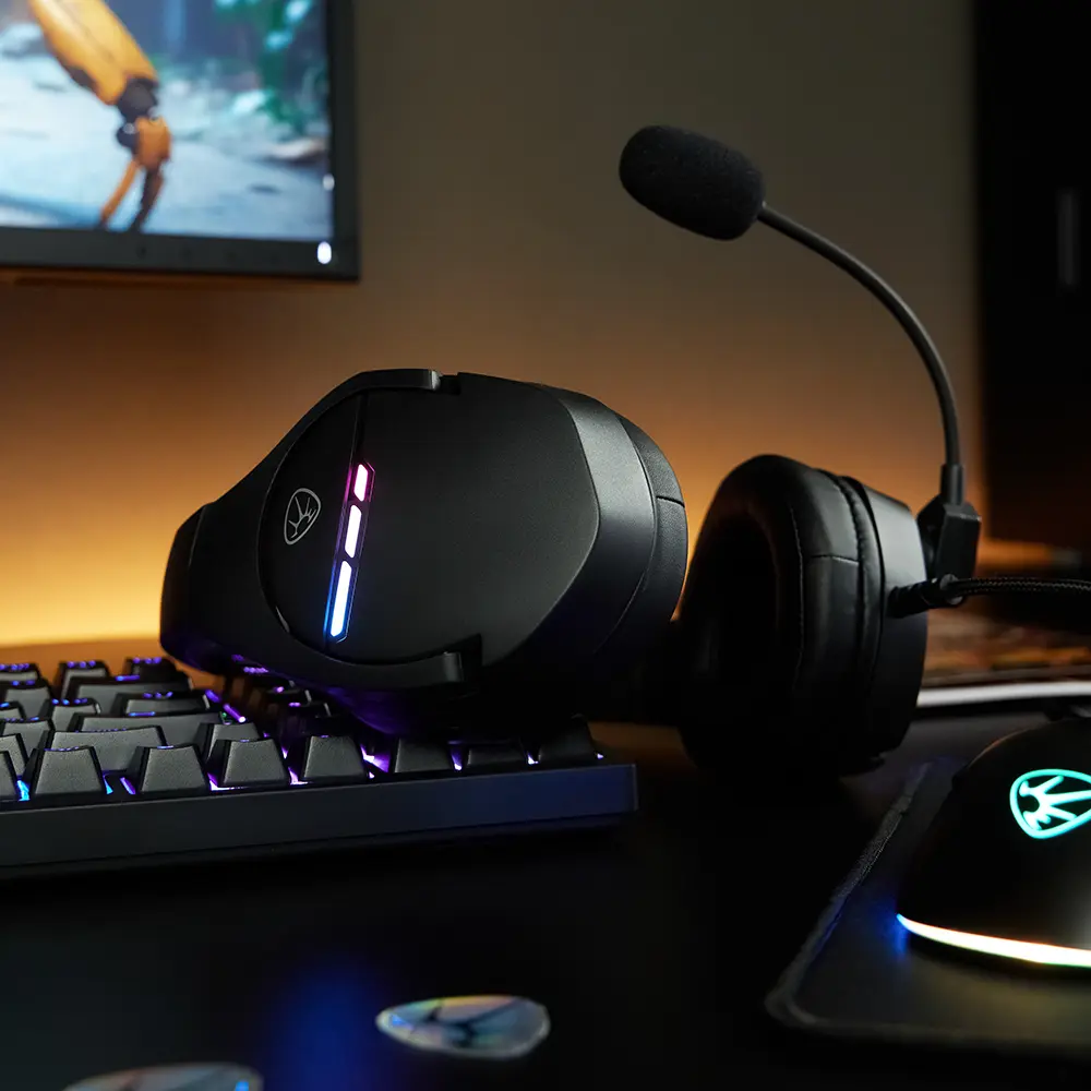 Наушники проводные с микрофоном игровые BY Dzingasa USB 3,2 м, VS7.1, настраиваемая RGB подсветка - #14