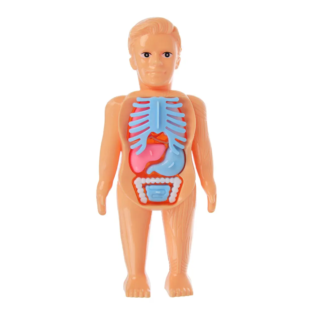 Игровой набор доктора с куклой-манекеном, PP, ABS, 20,4х3,5х37,6 см, тм ИГРОЛЕНД, 3+ - #6