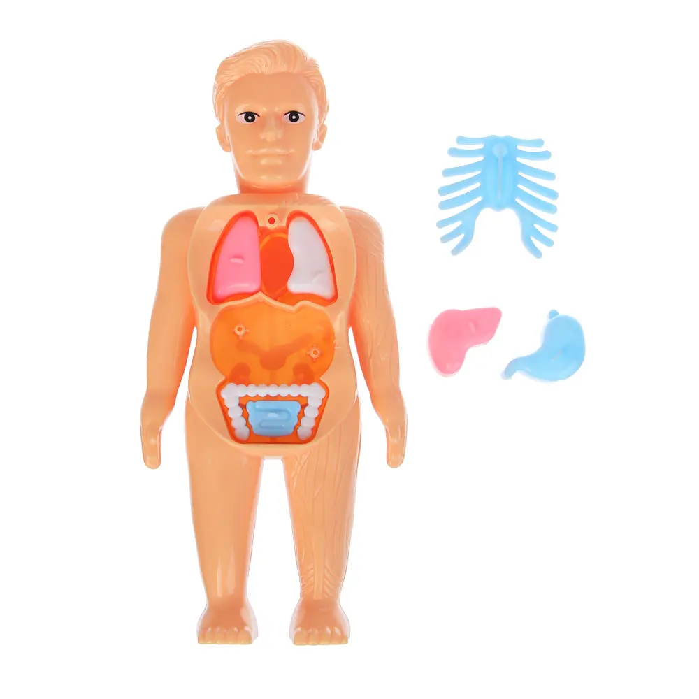 Игровой набор доктора с куклой-манекеном, PP, ABS, 20,4х3,5х37,6 см, тм ИГРОЛЕНД, 3+ - #7