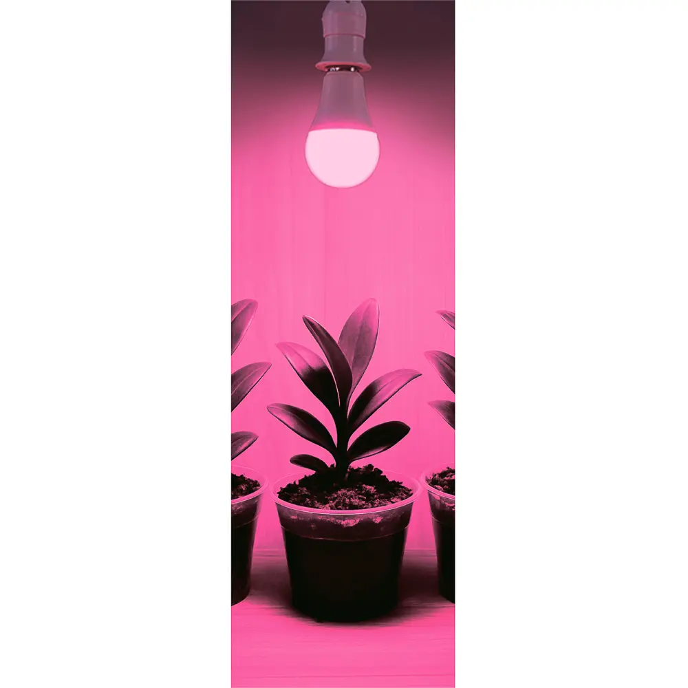 INBLOOM Лампочка для растений, 5x5.4см, 80LED (52R+28B), Е27, 3.6Вт, PC - #4