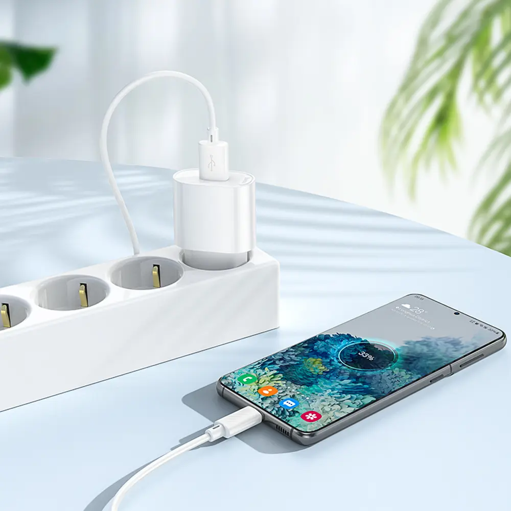 Сетевое зарядное устройство hoco. модель C109A, USB-A 10.5W, цвет: белый - #8