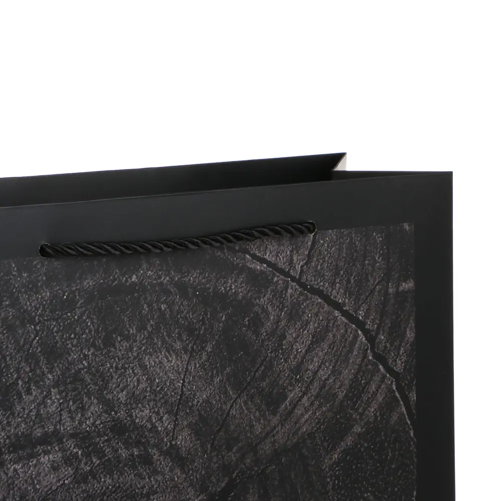 Пакет подарочный бумажный тм LADECOR L 26x32x10 см, для мужчин арт 1, 4 дизайна - #3