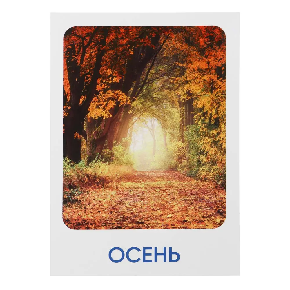 ИГРОЛЕНД Карточки развивающие "Окружающий мир", картон, 15х21,5см, 16 дизайнов - #5