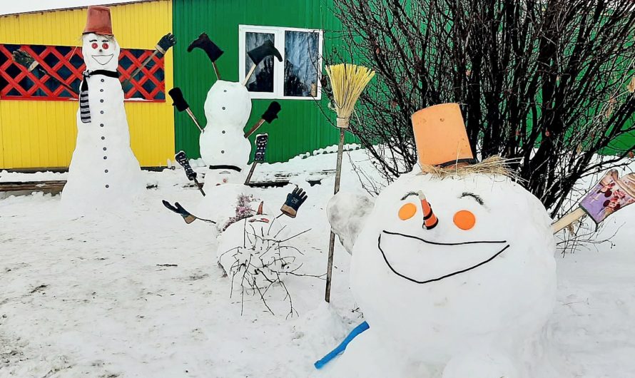 Семья из Бугурусланского района украсила двор дома забавными снеговиками