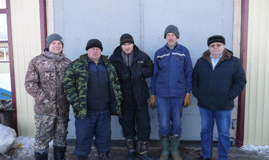 В Бугурусланском районе КФХ Владислава Молостова активно развивает молочное животноводство