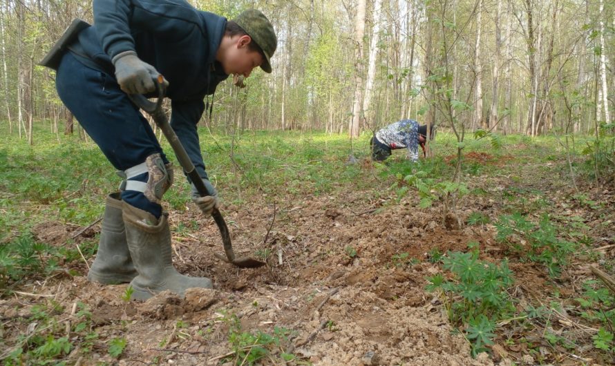 Есть первые результаты экспедиции поискового отряда «Бугуруслан»