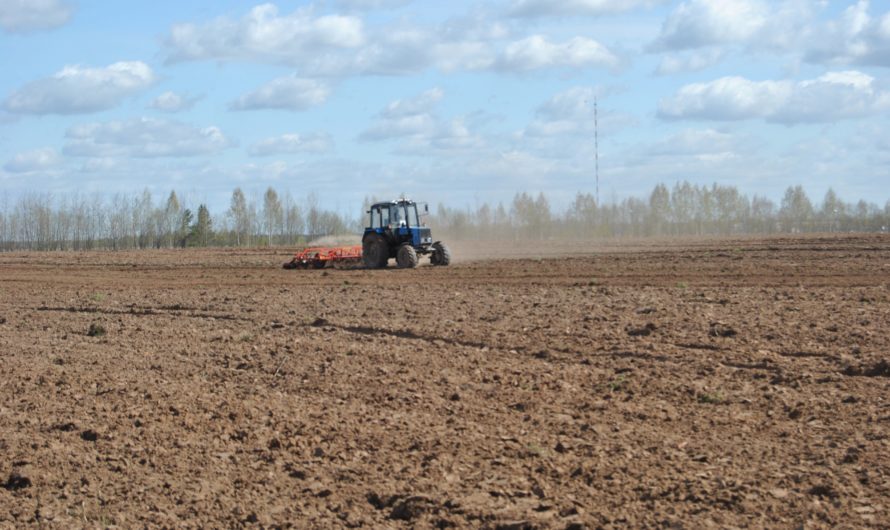 Большинство хозяйств Бугурусланского района приступили к весенне-полевым работам