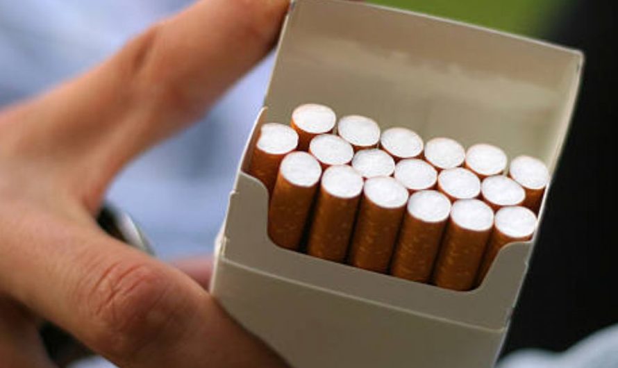 В Оренбургской области растет объем рынка нелегальных сигарет