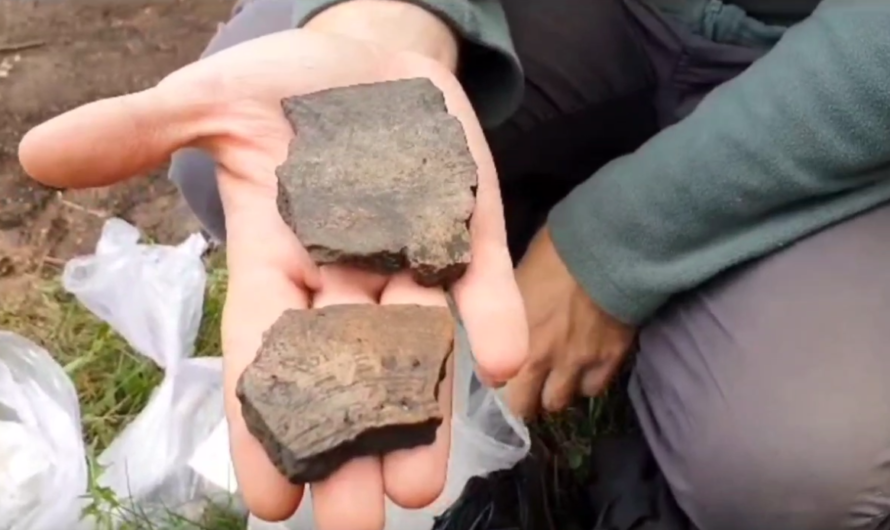 В Бугурусланском районе археологи обнаружили находки бронзового века