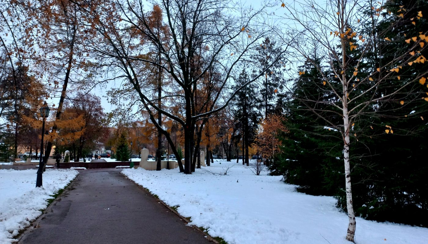 В Оренбуржье продолжается выбор общественных территорий для благоустройства  на следующий год - Бугурусланская правда