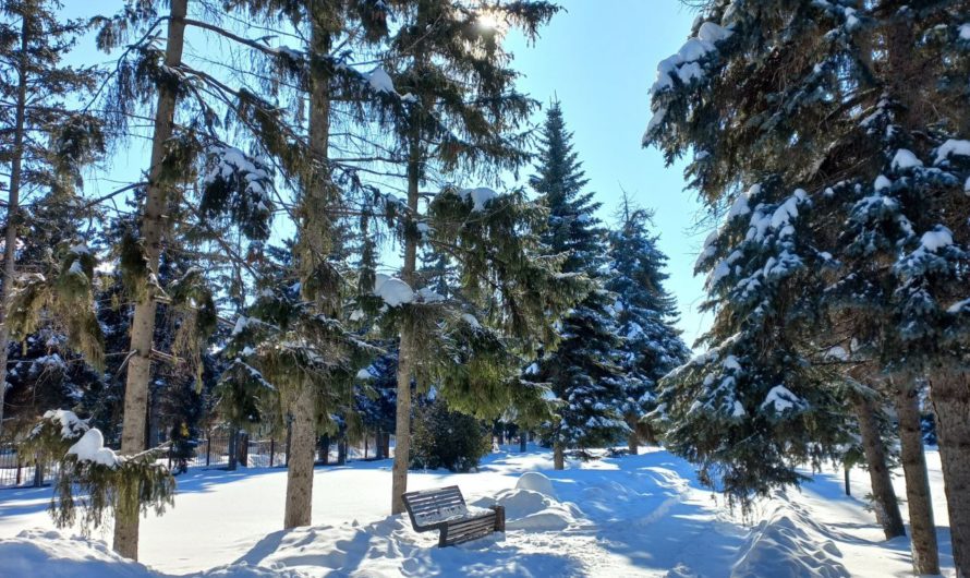 В МЧС напомнили оренбуржцам, как снизить риск пожаров зимой
