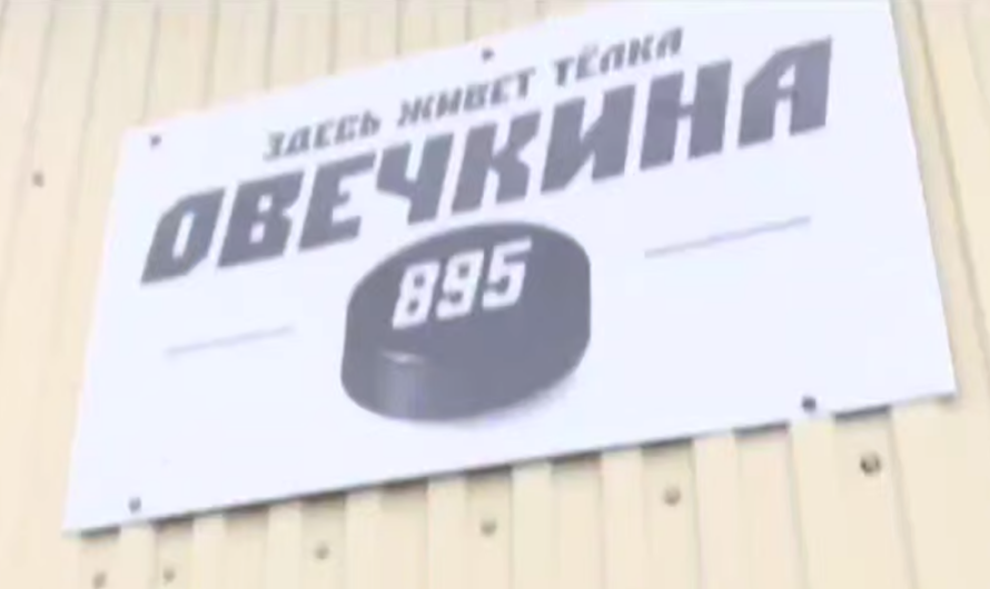 На ферме в Саракташском районе появилась табличка для фотозоны «Здесь живёт тëлка Овечкина»