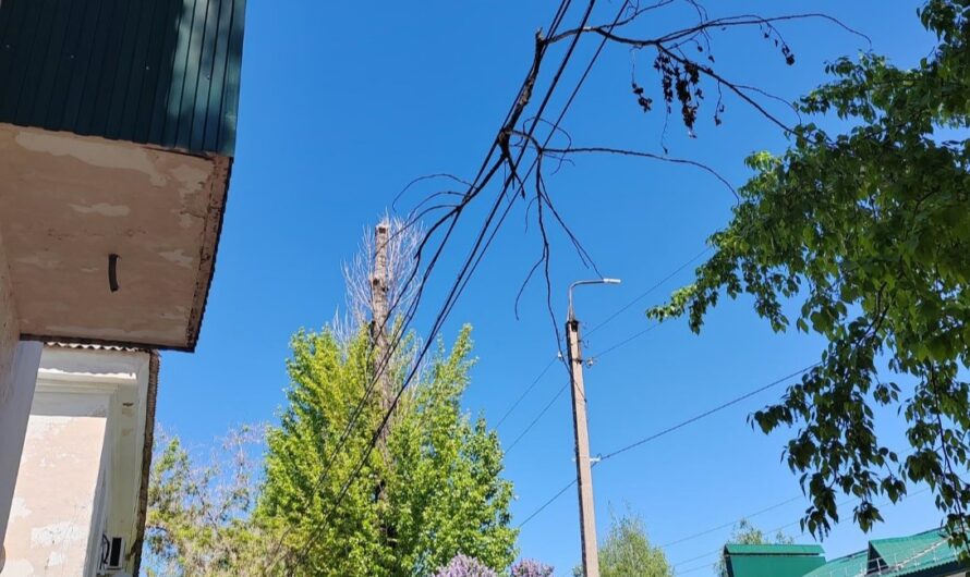 Бугурусланцы получают оперативный ответ на жалобы