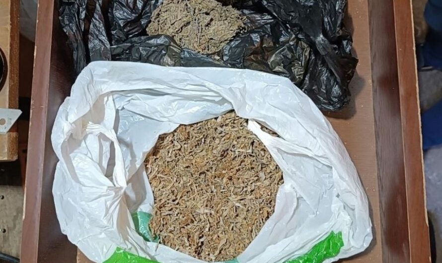 В Бугурусланском районе у местного жителя изъяли более 250 граммов марихуаны