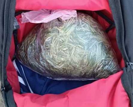 В Бугуруслане у 23-летнего парня обнаружили более 278 граммов марихуаны