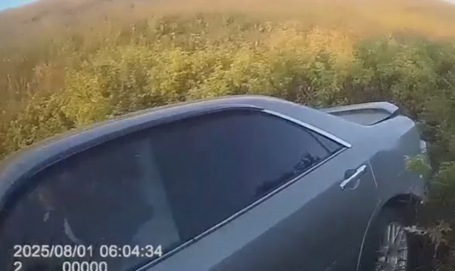 Был без прав и нетрезвый. В Бугуруслане молодой угонщик ждет суда