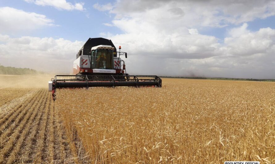 Аграрии Оренбуржья намолотили 4 миллиона тонн зерна