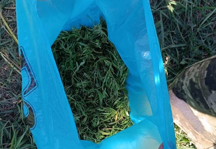 Почти 46 граммов. В Бугурусланском районе задержали жителя Самарской области с марихуаной