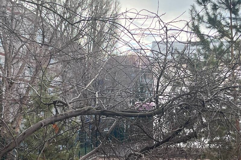 В Бугуруслане 22 ноября будет дождливо