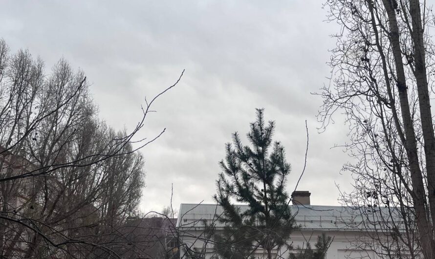 В Бугуруслане 15 ноября ожидается пасмурная погода