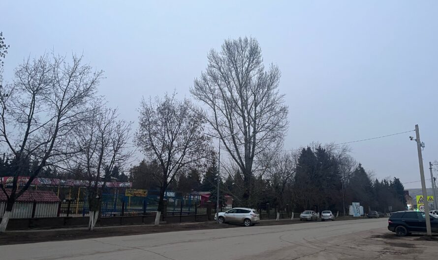 29 ноября в Бугуруслане будет пасмурно