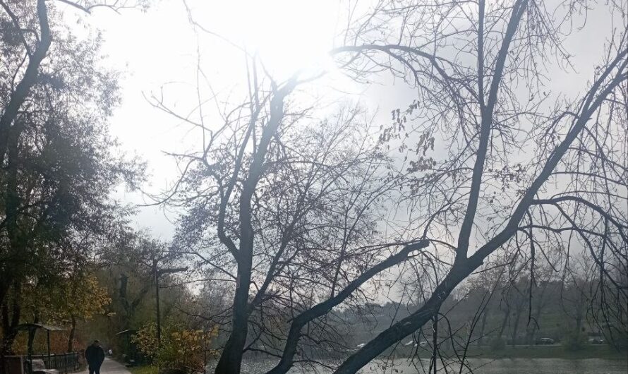 23 ноября в Бугуруслане будет хмуро