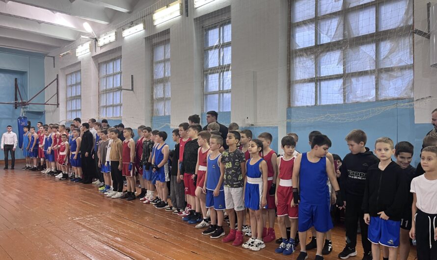 В Бугуруслане проходит первенство города по боксу в память о бугурусланцах, участвующих в СВО